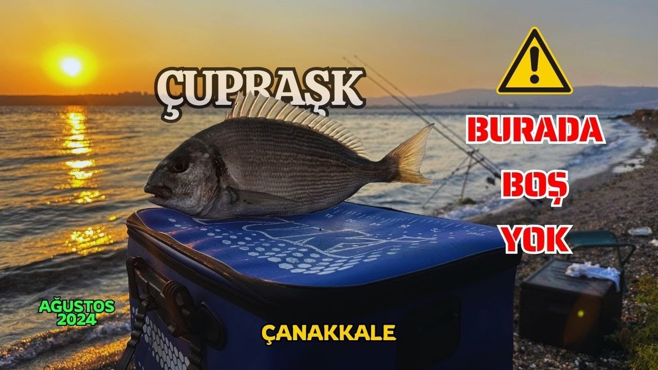 ÇANAKKALE EFSANE BALIK AVI
