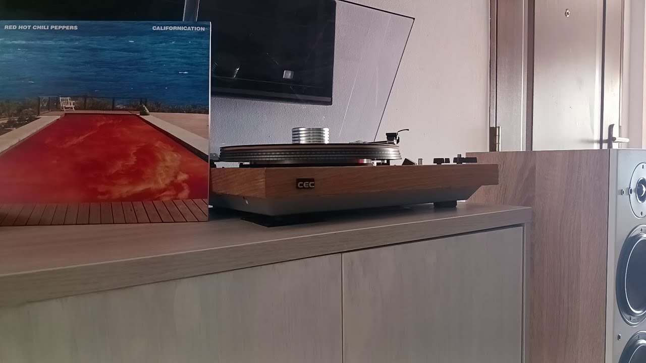Dali Oberon 7 + vinilo Californication
