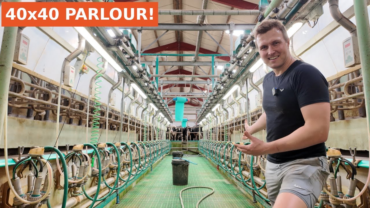 How LONG to milk our 190 COWS!?