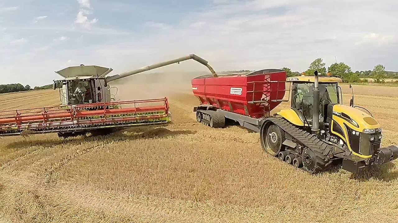 Harvest 2016 UK, Perard Interbin 46, Claas Lexion 770 & 760, Challenger MT765C, Fendt 724's.