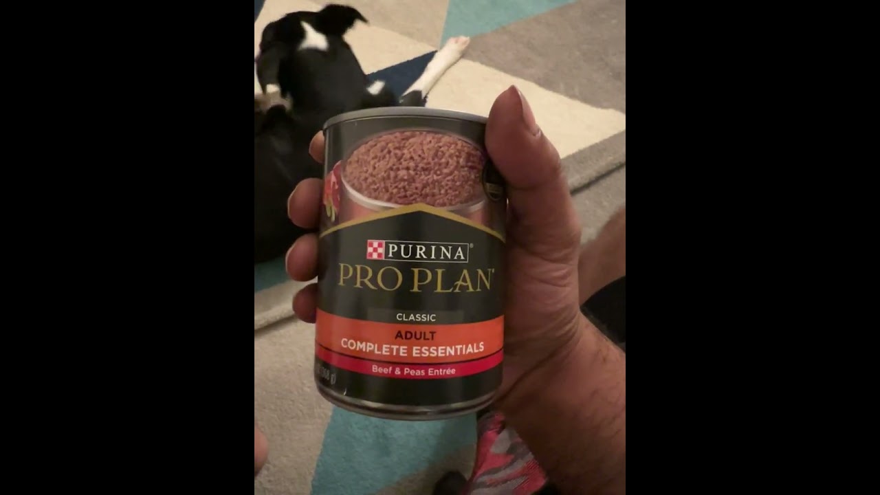 DOG FOOD REVIEW: PURINA PRO PLAN-BEEF AND PEAS ENTREE (WET FOOD, CANNED)