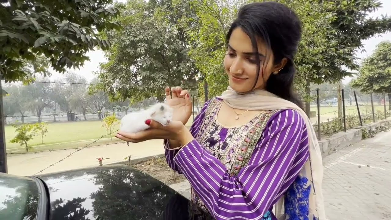 A girl found very cute kitten.