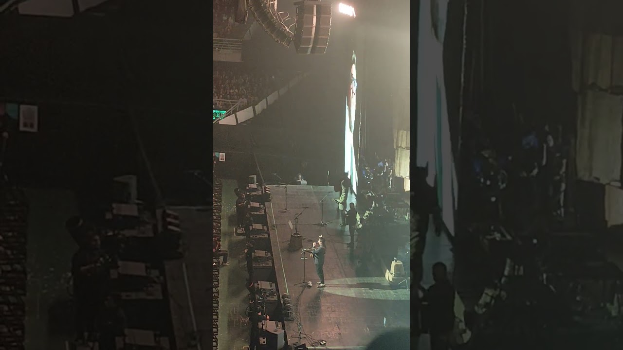 Fantasias animadas de ayer y hoy y entre mis brazos los bunkers Movistar arena 