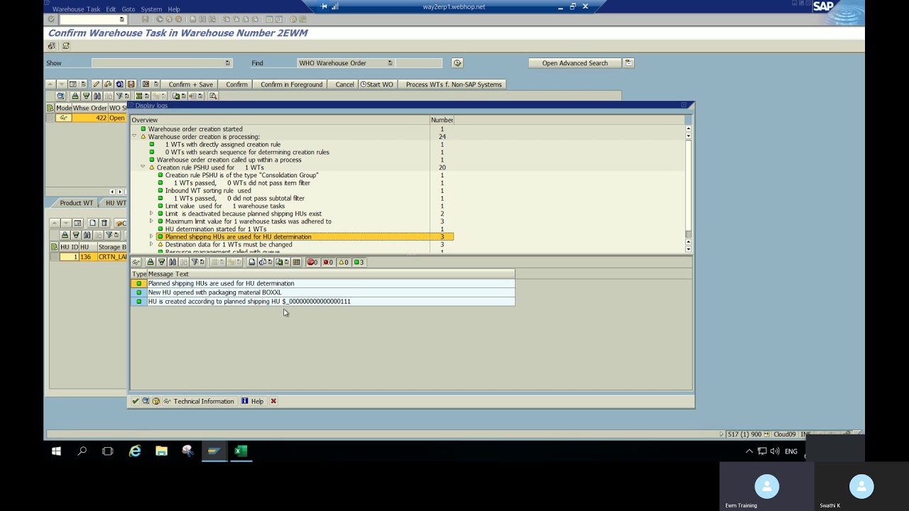 SAP EWM CARTONIZATION PLANNING
