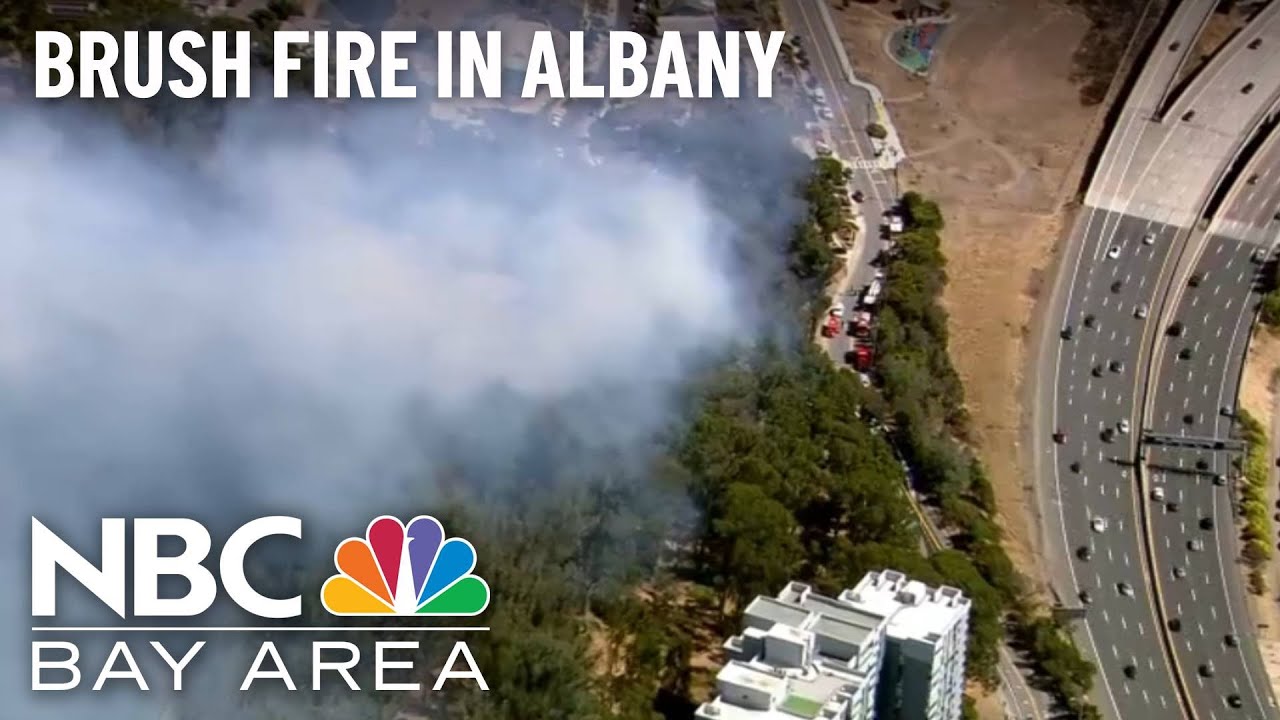 Crews Battle Vegetation Fire, Prompting Evacuations in Albany