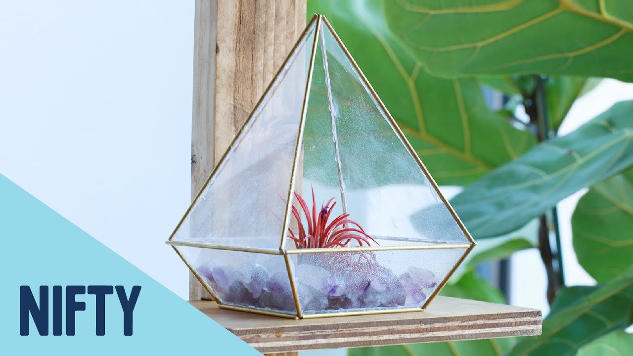 Geometric Terrarium