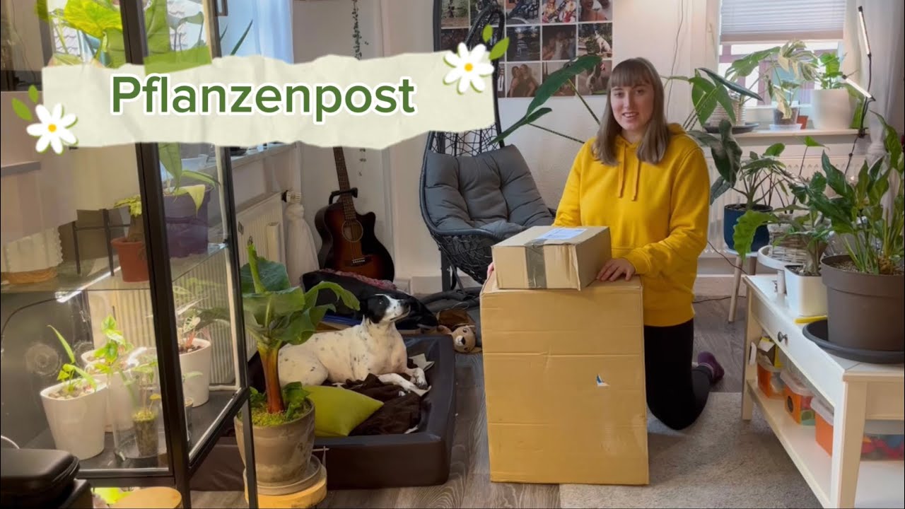 Endlich wieder Pflanzenpost 🤩                  Pflanzen Unboxing 🌱