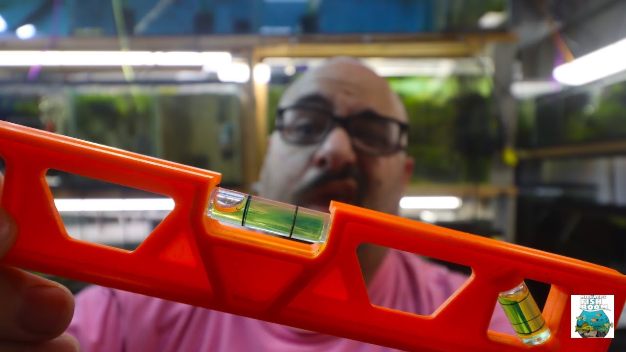 Does a Fish Tank Have to be Level?