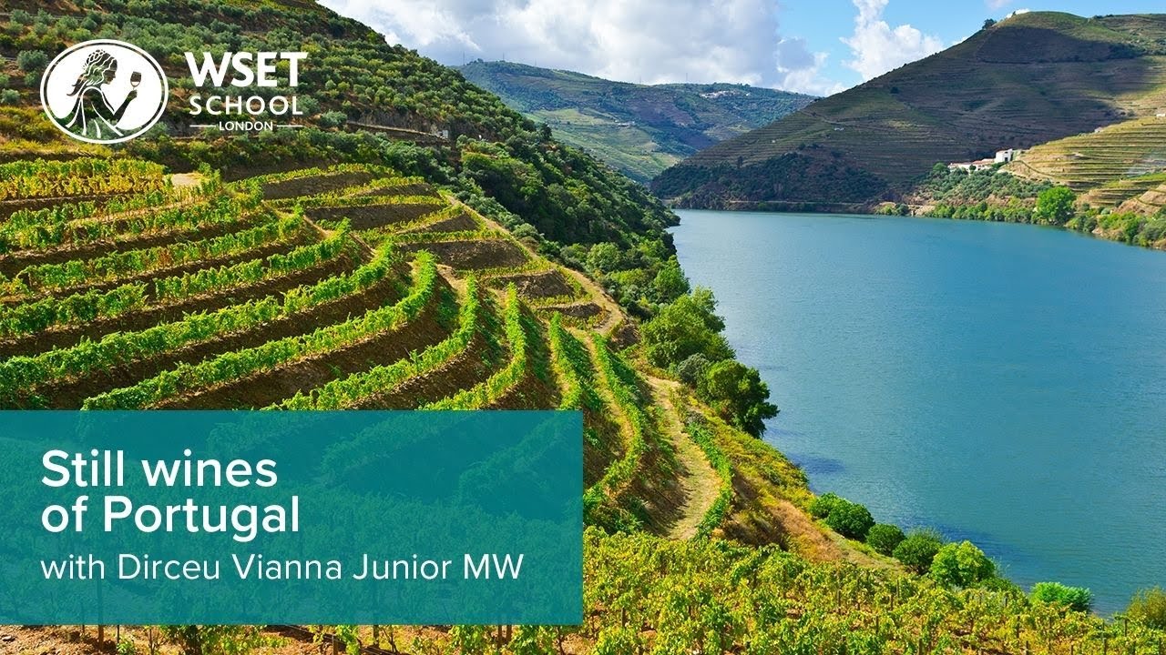 Still wines of Portugal: from north to south with Dirceu Vianna Junior MW