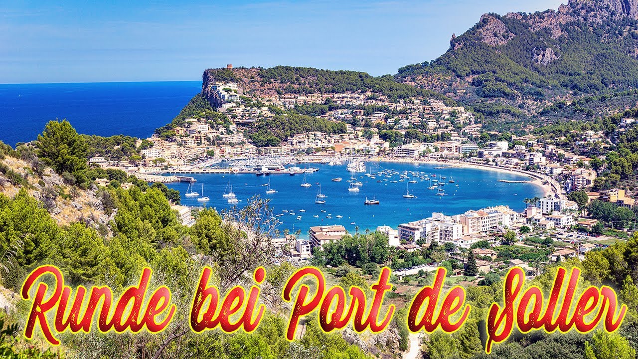 Mallorca - Views of Port de Sóller & Ancient Olive Trees - Round of Port de Sóller