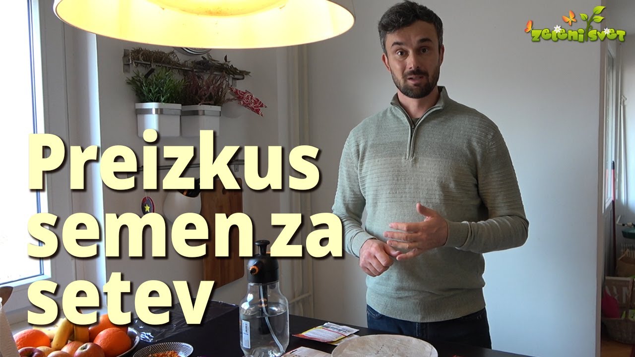 Preizkus semena za setev