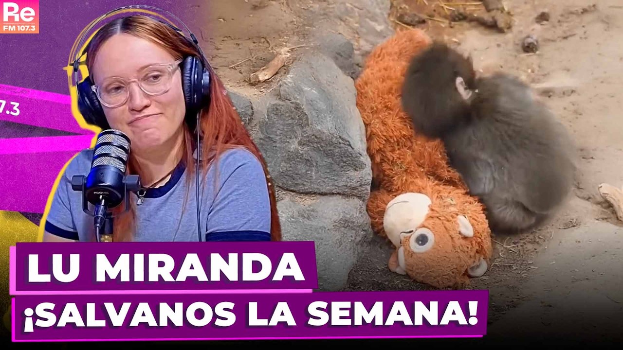 ¡SALVANOS LA SEMANA! | Lu Miranda en Portate Bien