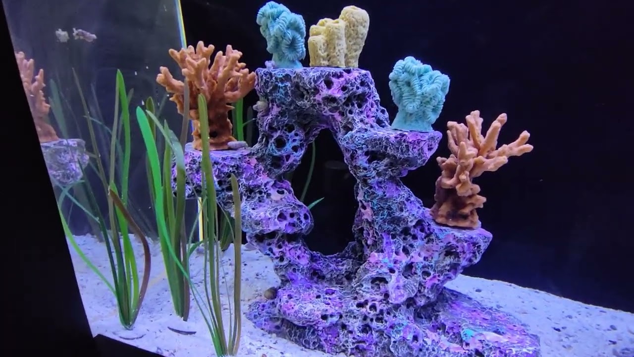 Niagara Aquarium