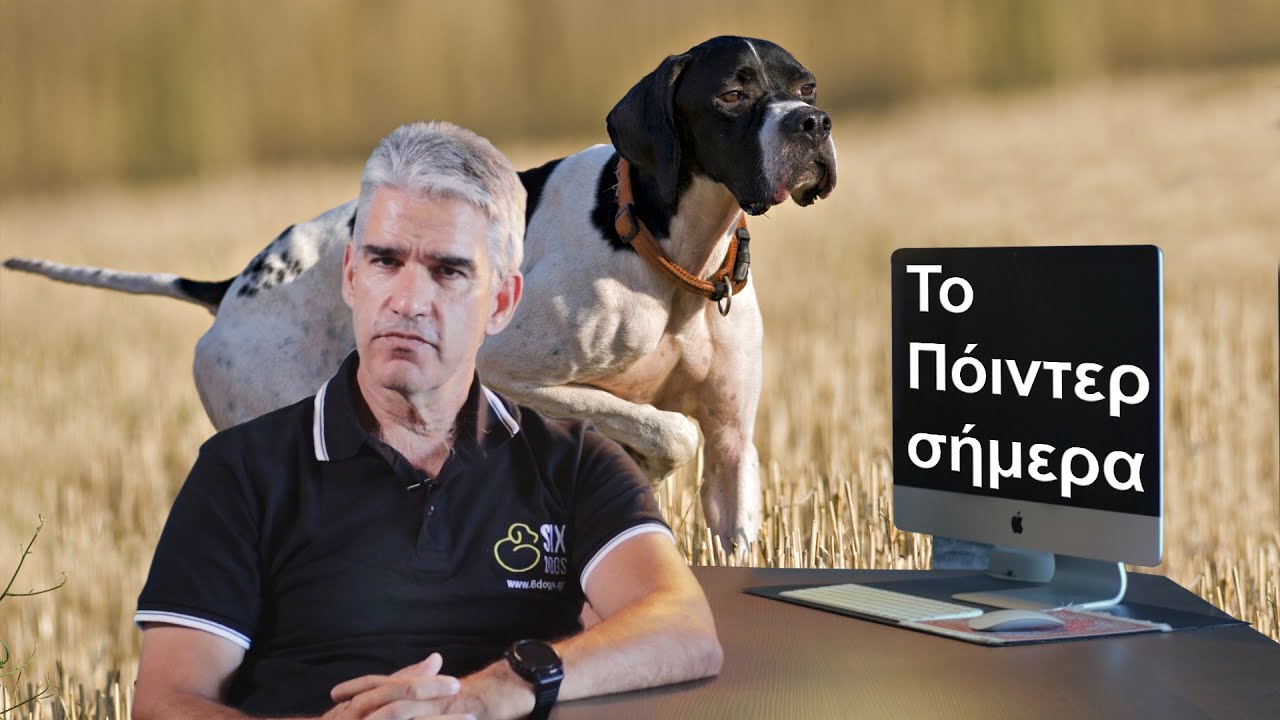 ΠΟΪΝΤΕΡ: Η τωρινή κατάσταση της φυλής