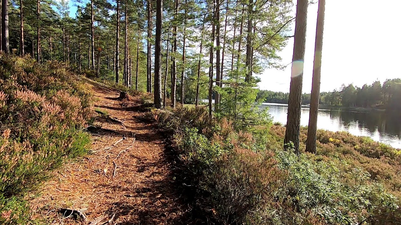 Hökensås blå MTB led. Hela banan.