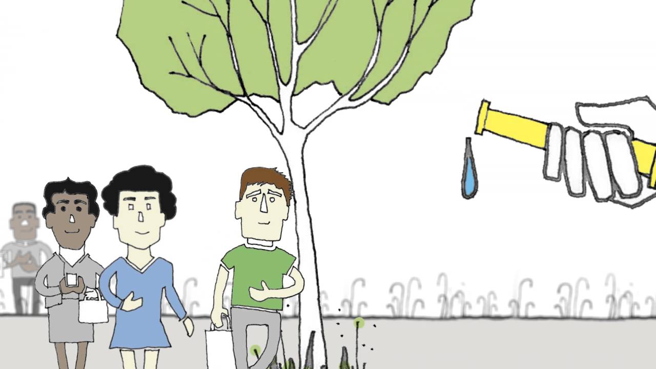 Schools WSUD animation