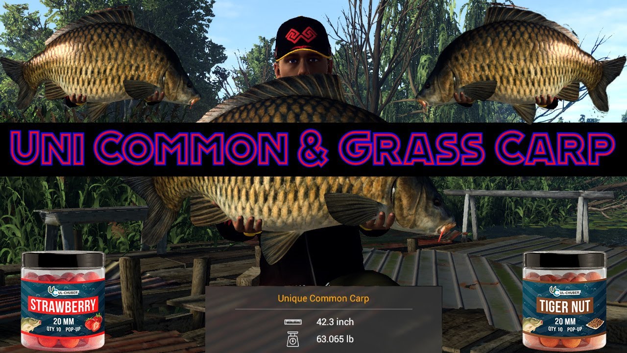 Fishing Planet Dnipro River Ukraine Unique Common & Grass Carp Guide