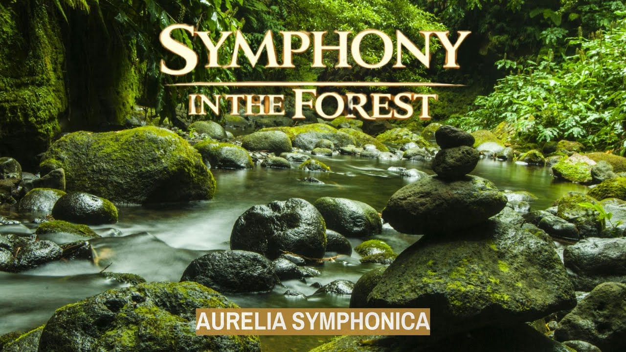 Symphony in the Forest | Cinematic Orchestral Journey Through Nature