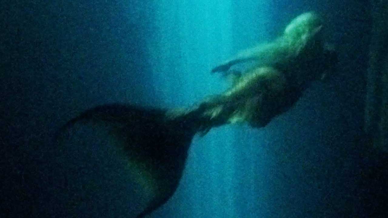 REAL MERMAID FOUND ALIVE IN HER CAVE