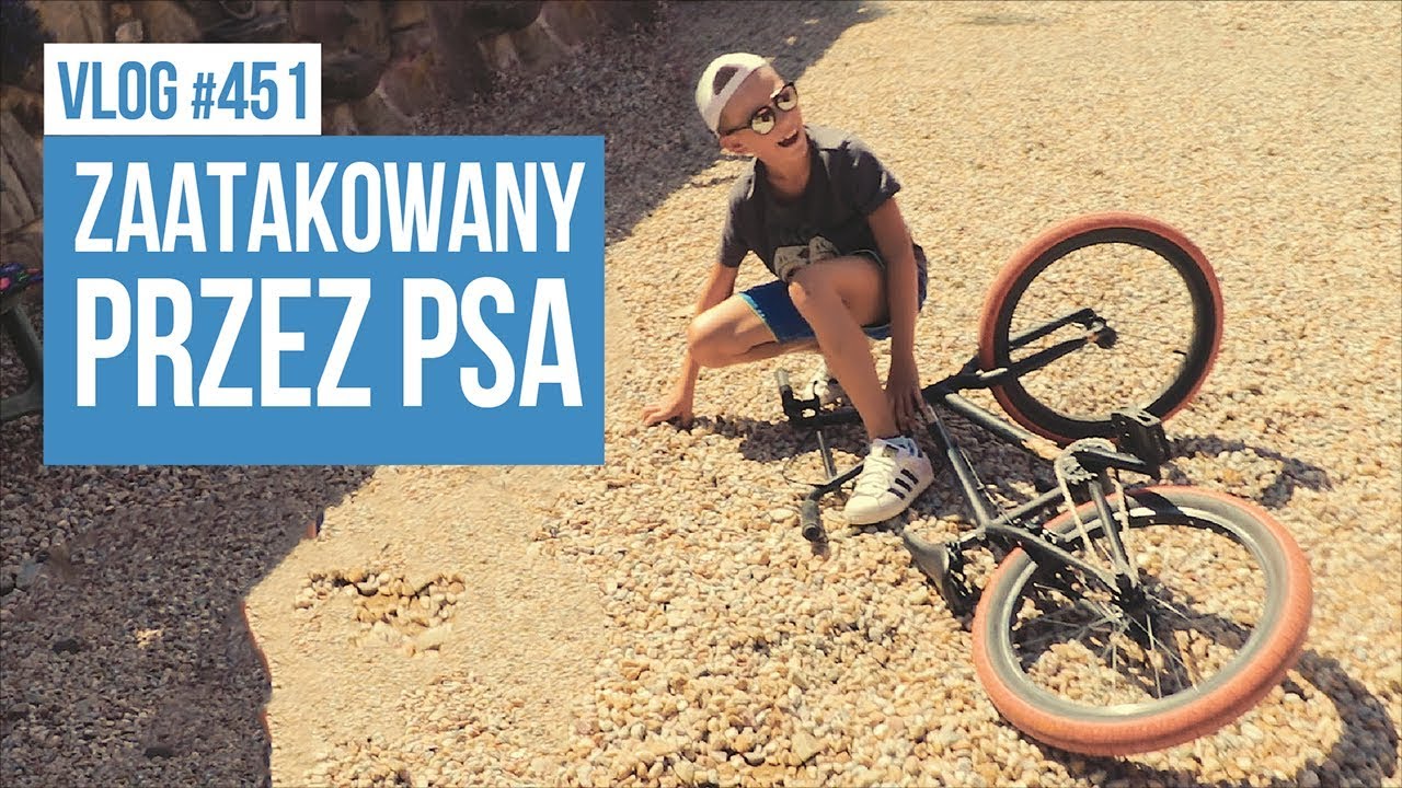 Zaatakowany przez psa! / VLOG #451