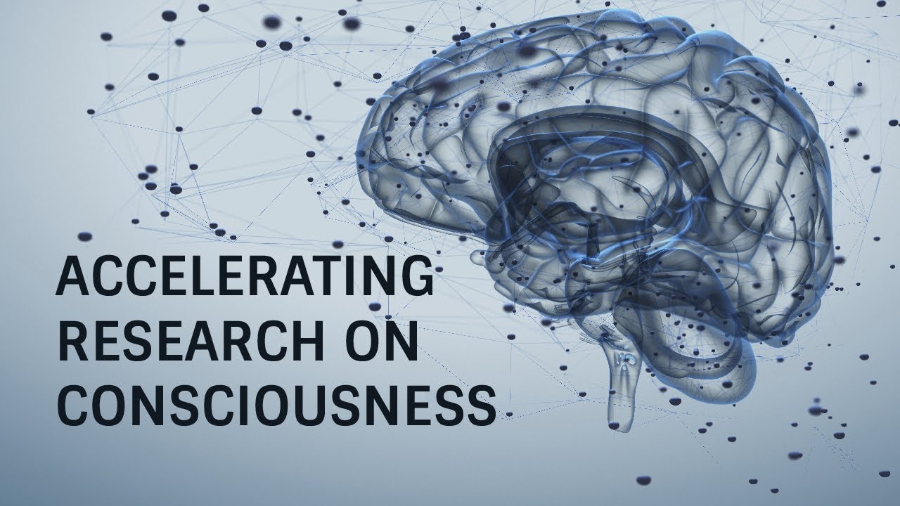 Accelerating Research on Consciousness | Stories of Impact