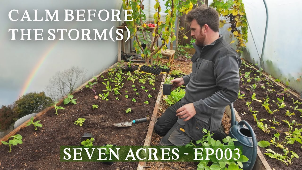Расчистка территории, жаркие дебаты и двойные радуги · Seven Acres EP003