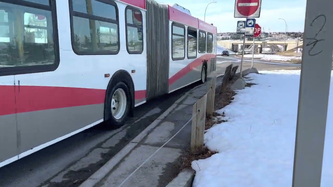 [Calgary Transit] Bus 301 Passing Bus Trap on Centre St N