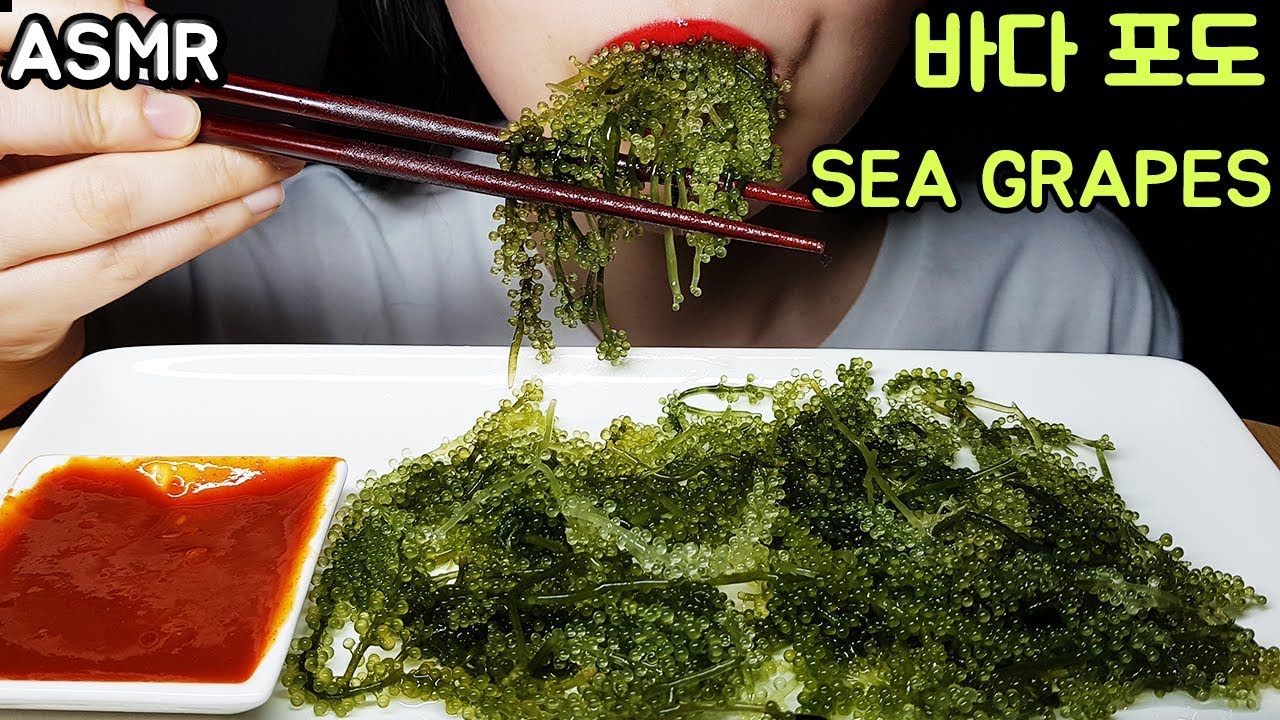 [ASMR] 톡톡톡 바다포도!!❤ SEA GRAPES Real Sound Mukbang Eating show