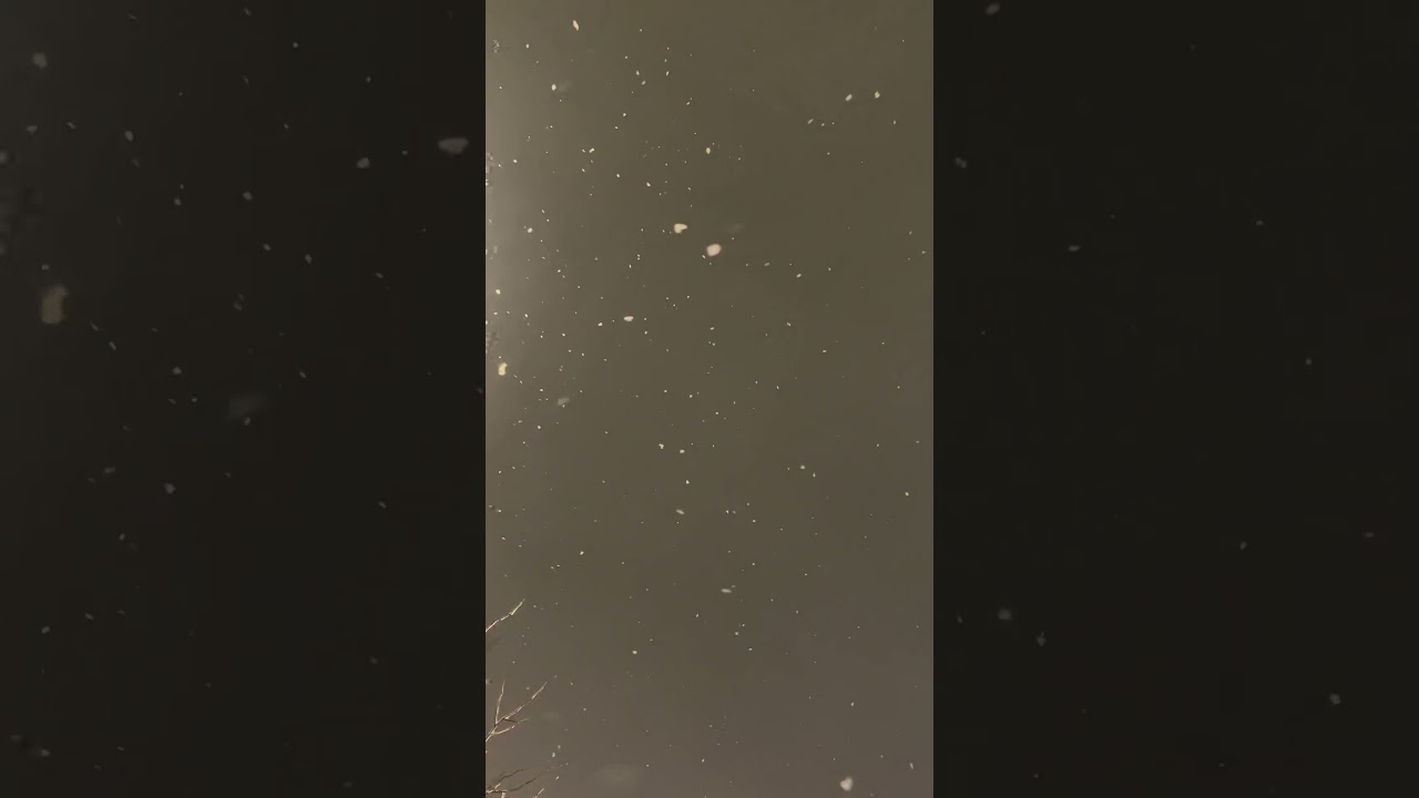 Whispers of snow under the moonlight: Silent beauty blankets the night. 🌙❄️