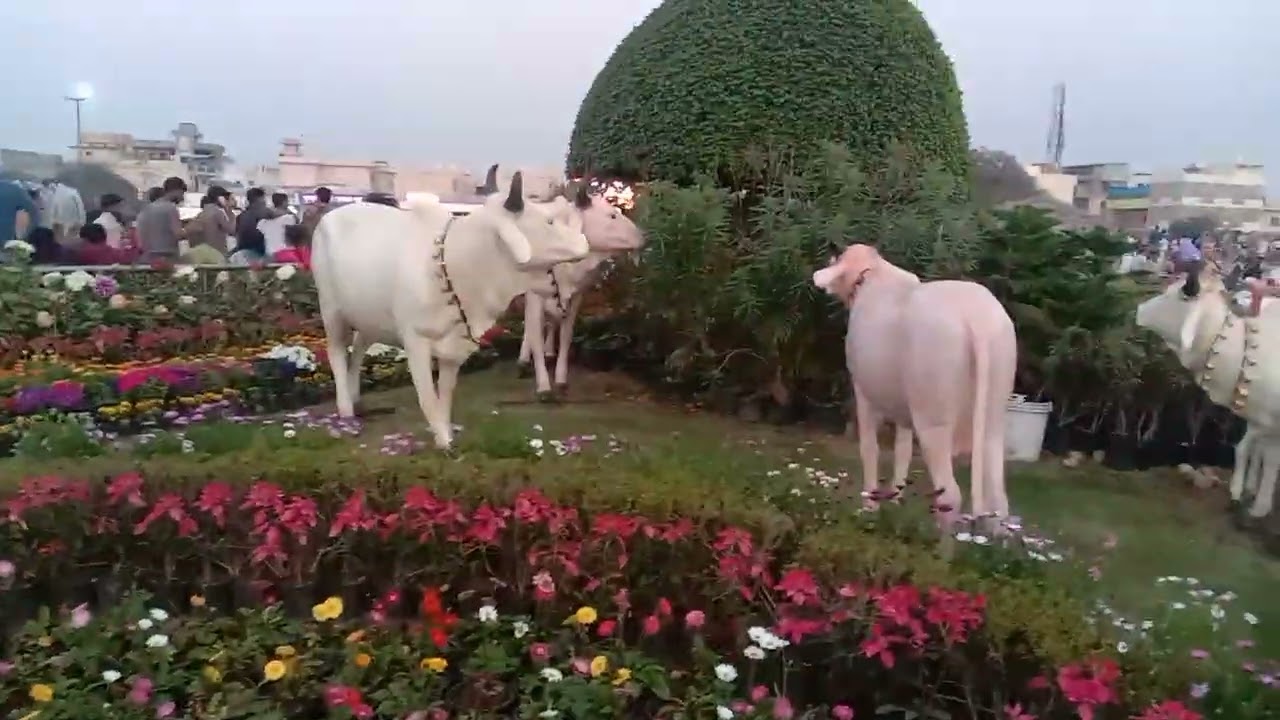  प्रेम मंदिर वृंदावन 