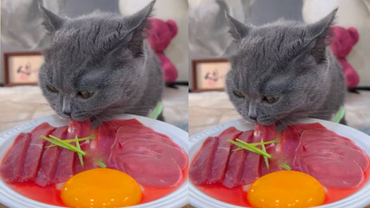 The meat strips and eggs were really delicious.
