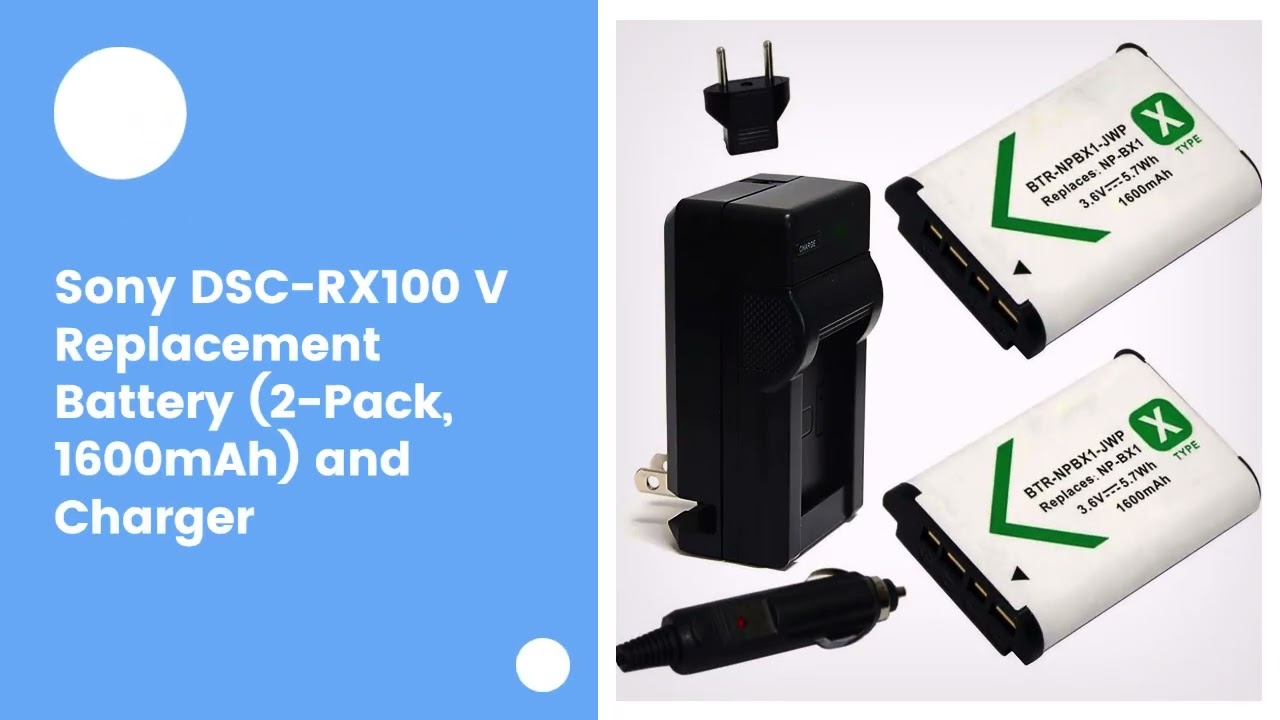 Sony DSC-RX100 V Replacement Battery (2-Pack, 1600mAh) and Charger