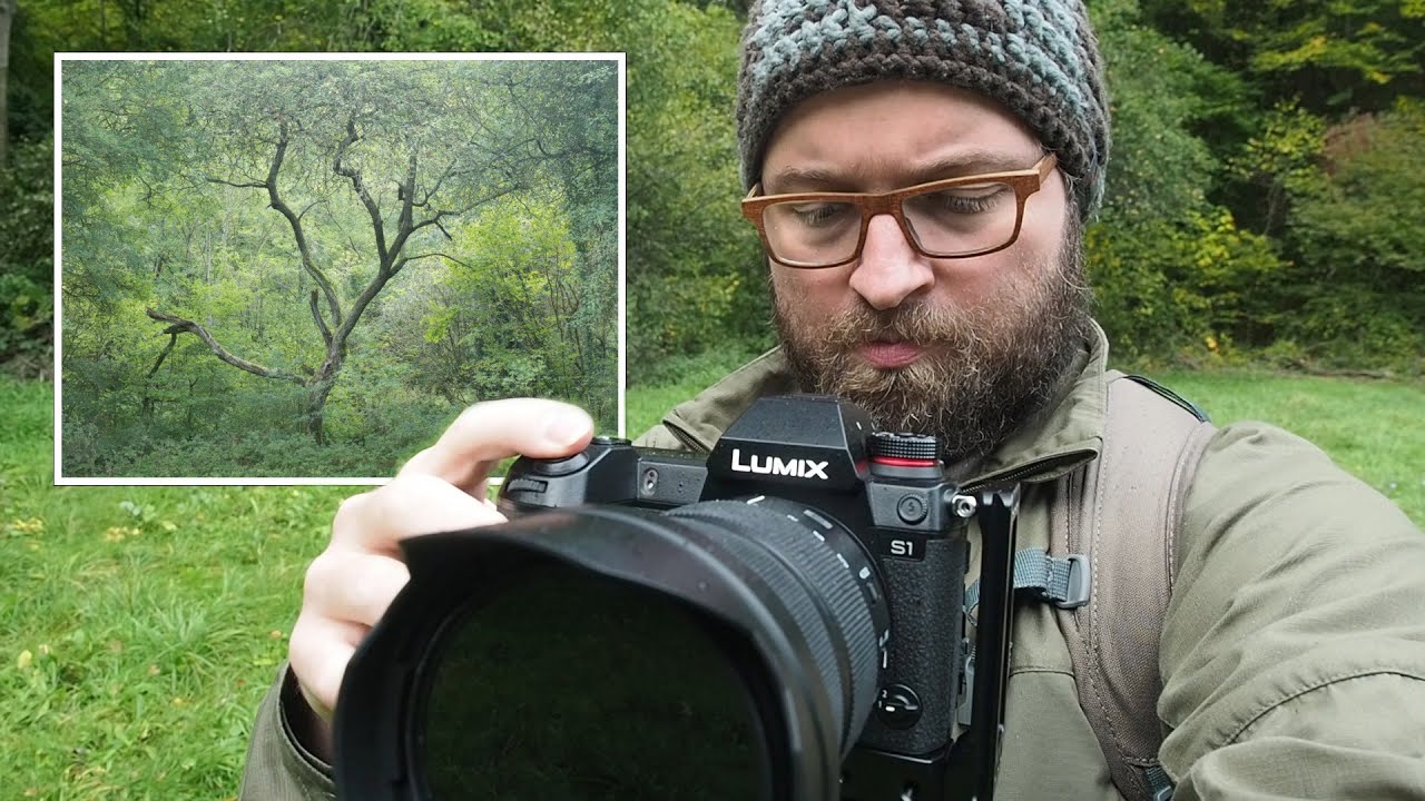 Naturfotografie: Pr&auml;herbstliche BAUMFOTOGRAFIE im AHRTAL inkl. BILDBEARBEITUNG