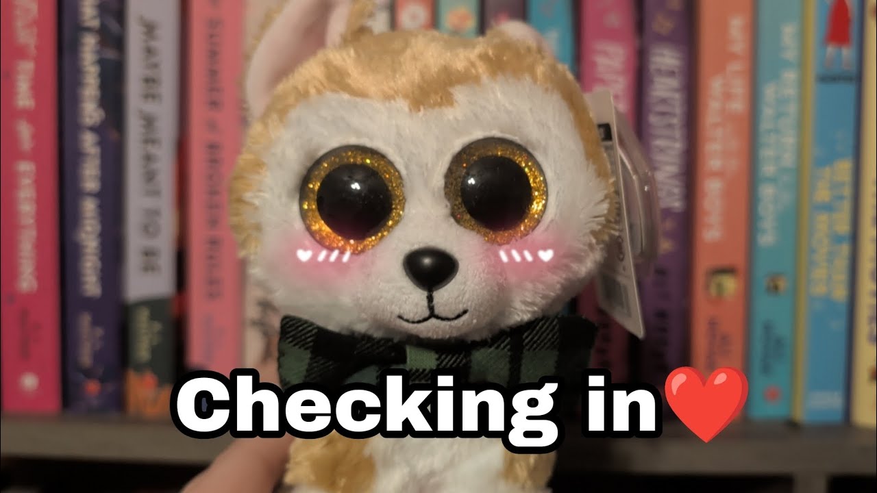 Checking in❤️ | Beanie Boo Magic... Returns???