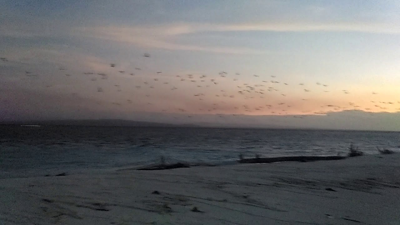 Vlog Pulau Bais l Original tanpa edit wkwk