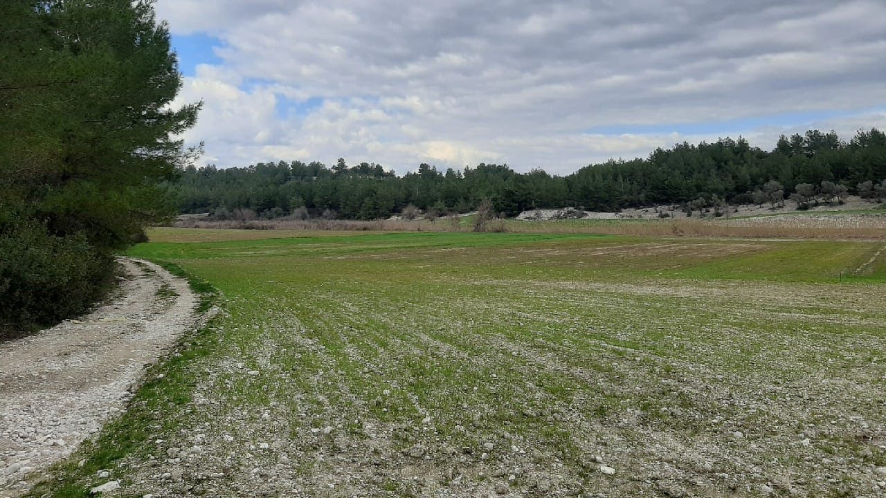 FETHİYE Seydikemerde Satılık Müstakil 62.653 Metre Kare Çiftlik Arazisi.🏝🏠🏜😎👌👍