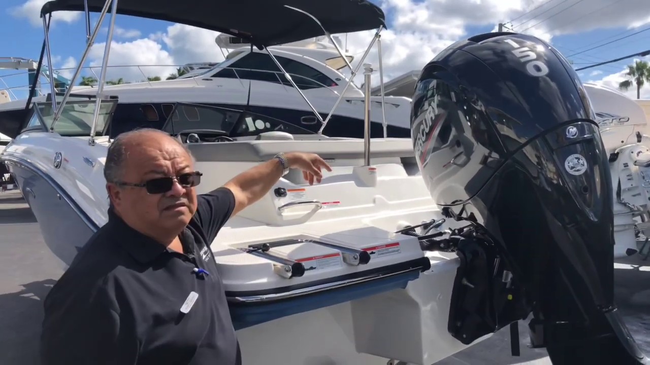 2020 Sea Ray SPX 190 Outboard For Sale at MarineMax Miami