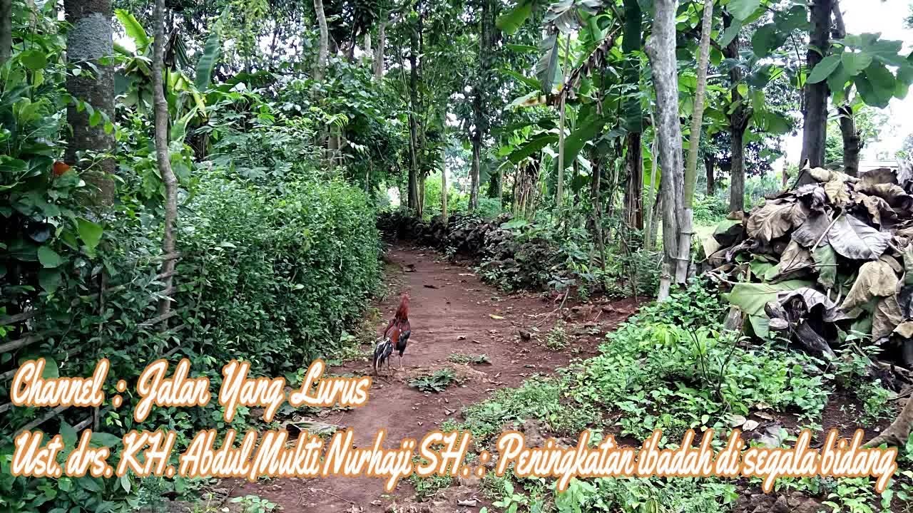 Jalan Yang Lurus : Ust. drs. KH. Abdul Mukti Nurhaji SH. : Peningkatan ibadah di segala bidang