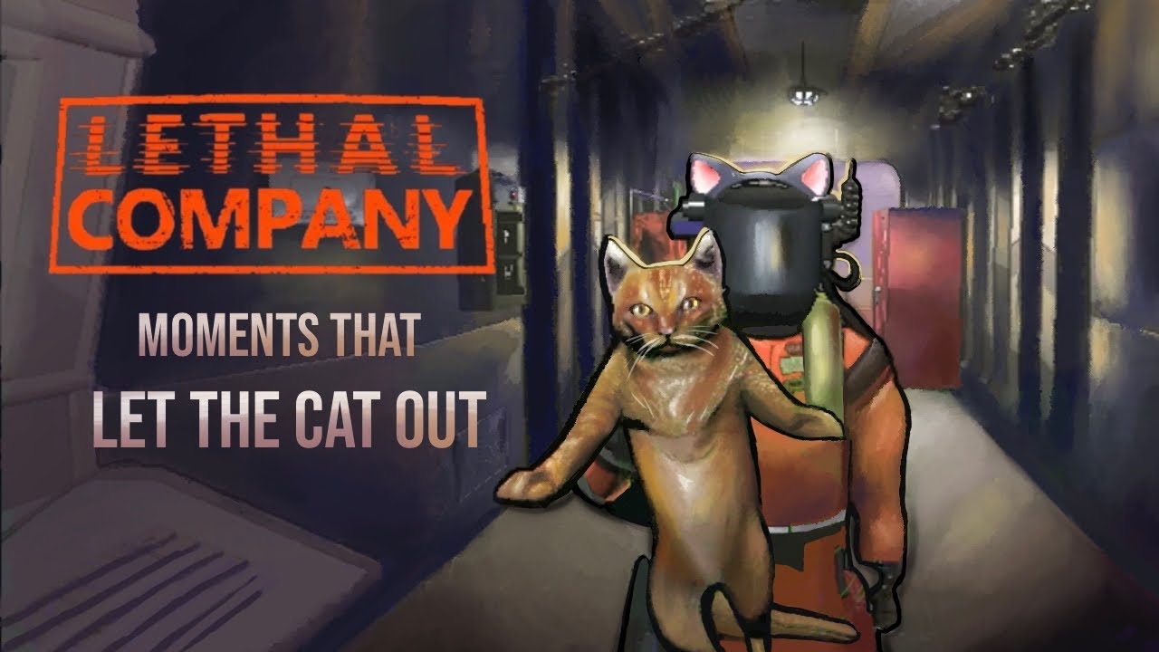 The Cat's Out Of The Bag!