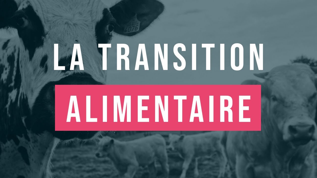 15 minutes pour comprendre facilement la transition alimentaire