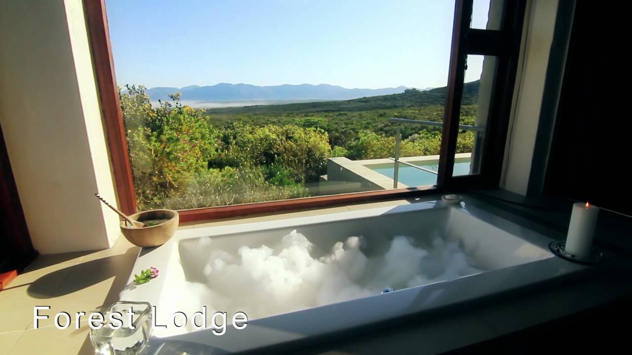 Explore Grootbos Nature Reserve | Rhino Africa