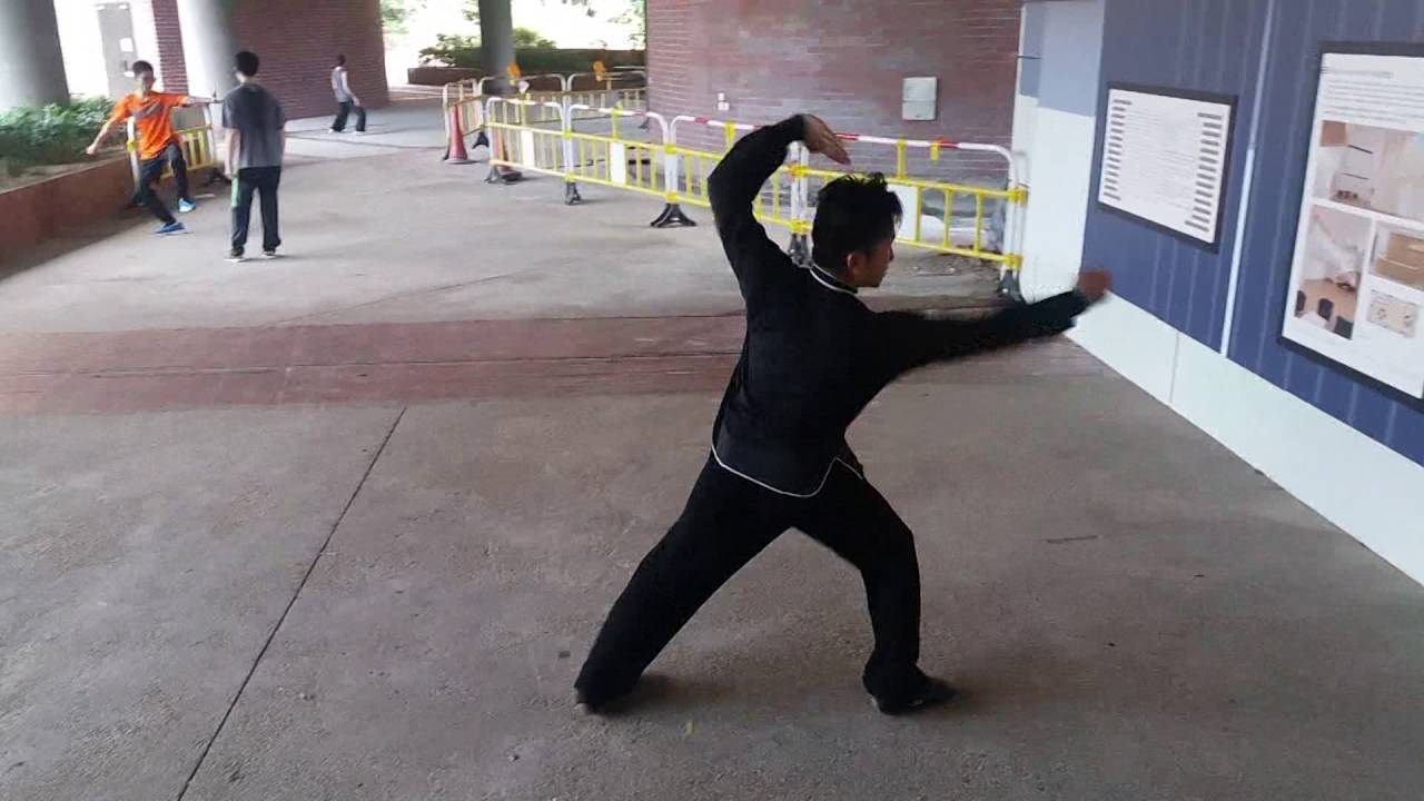 第八路拔步少林拳