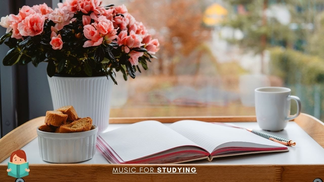 「無廣告版」寧靜琴聲陪我一個人讀書 ☕ BEAUTIFUL MUSIC FOR STUDYING & READING