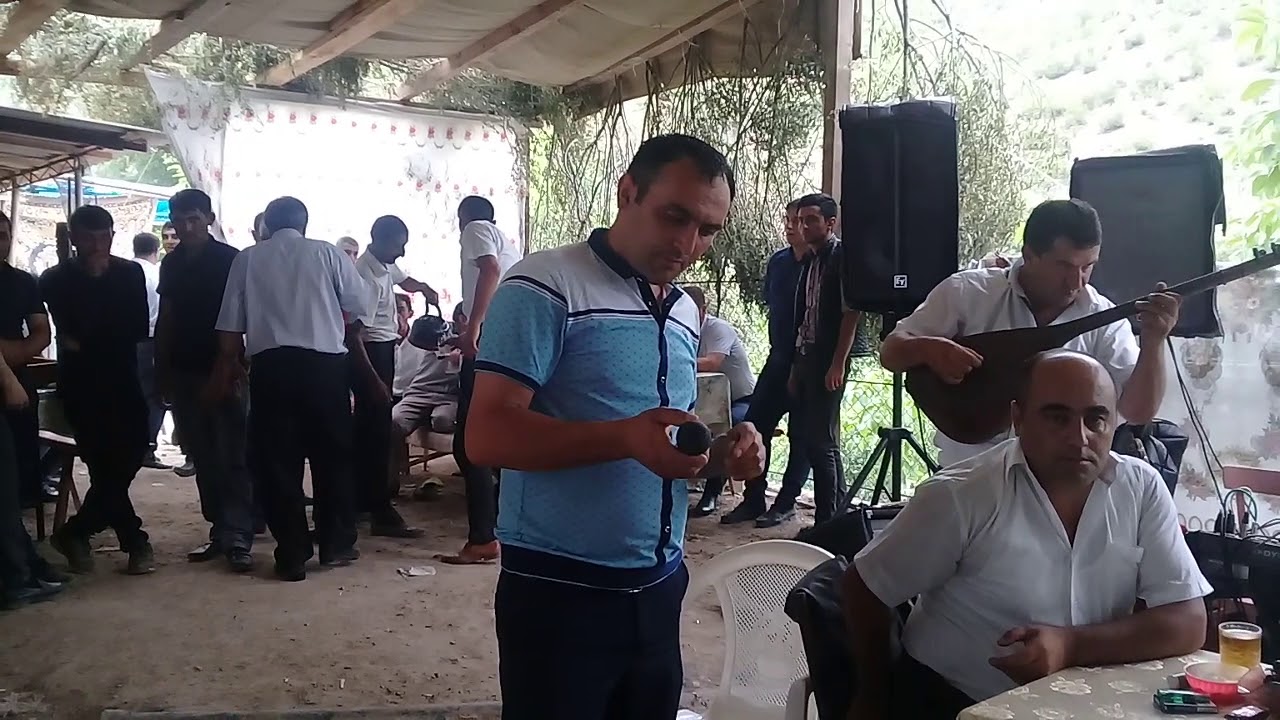 Tovuz toyu