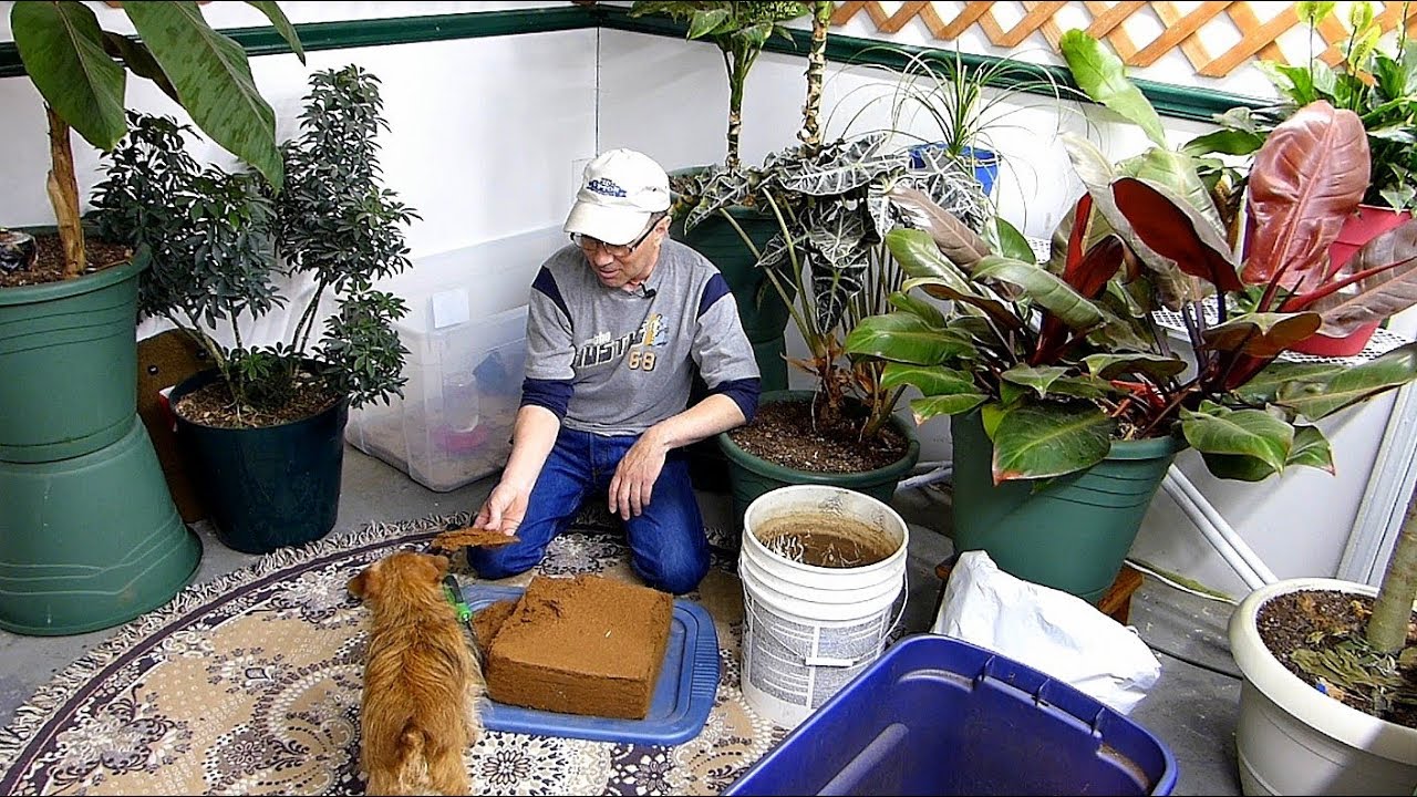 NEW Soil mix and transplant update!