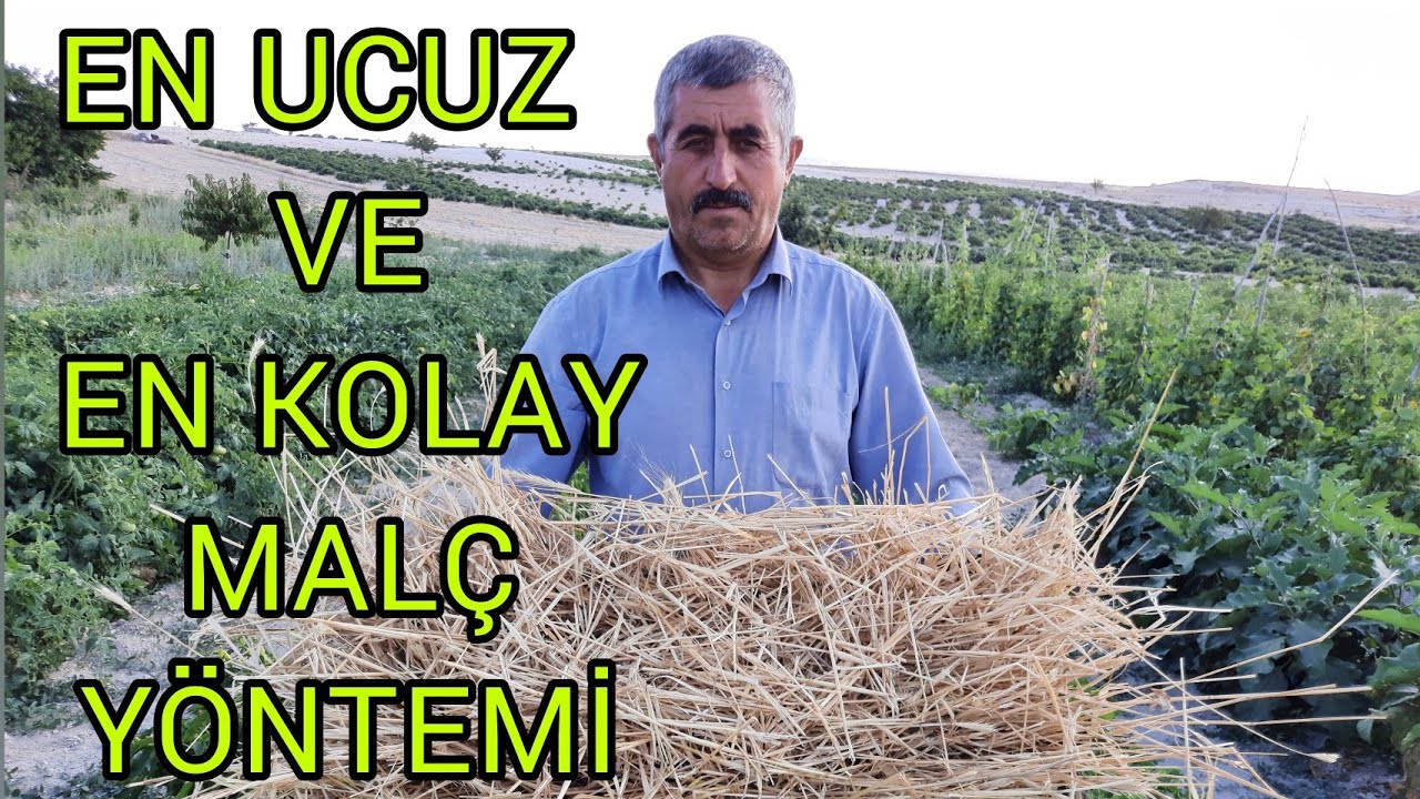 EN UCUZ VE EN KOLAY MALÇ YÖNTEMİ  Şekil bozukluğuna SON