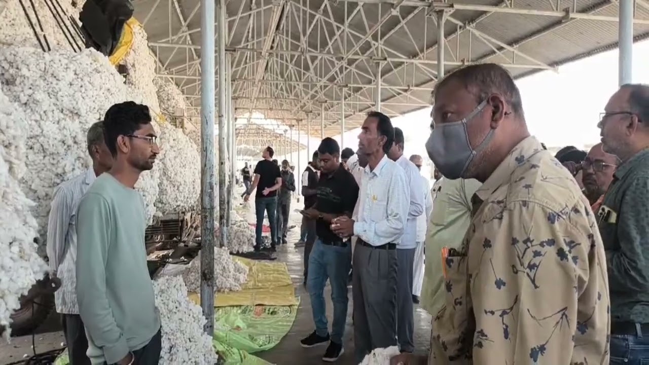 8450/- 12 फरवरी 2026 खेतिया कपास मंडी नीलामी बोली भाव