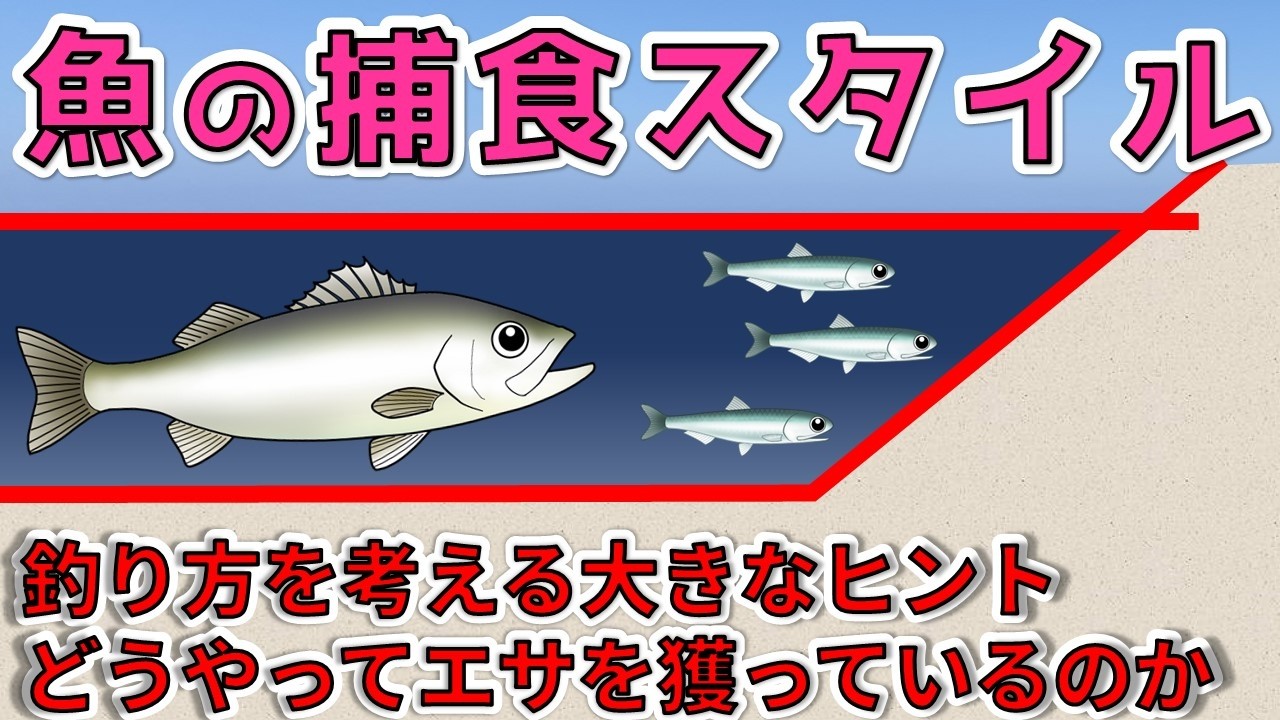 【魚の捕食スタイル】魚がエサを口にする理由と捕食戦略を考える