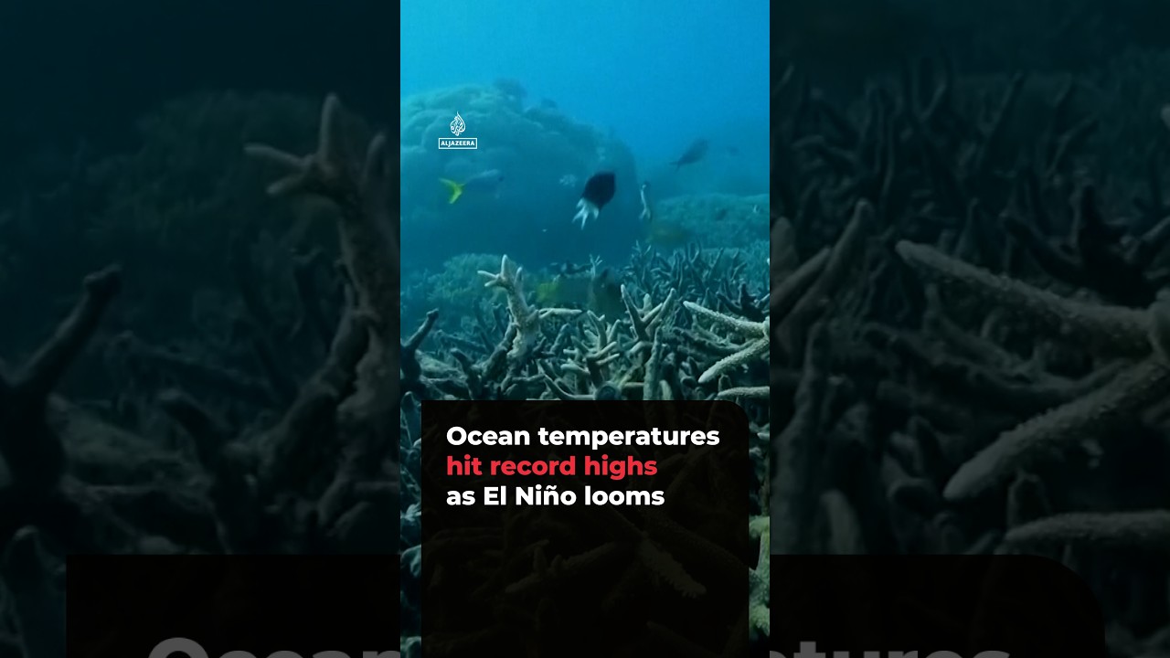 Ocean temperatures hit record highs as El Ni&ntilde;o looms