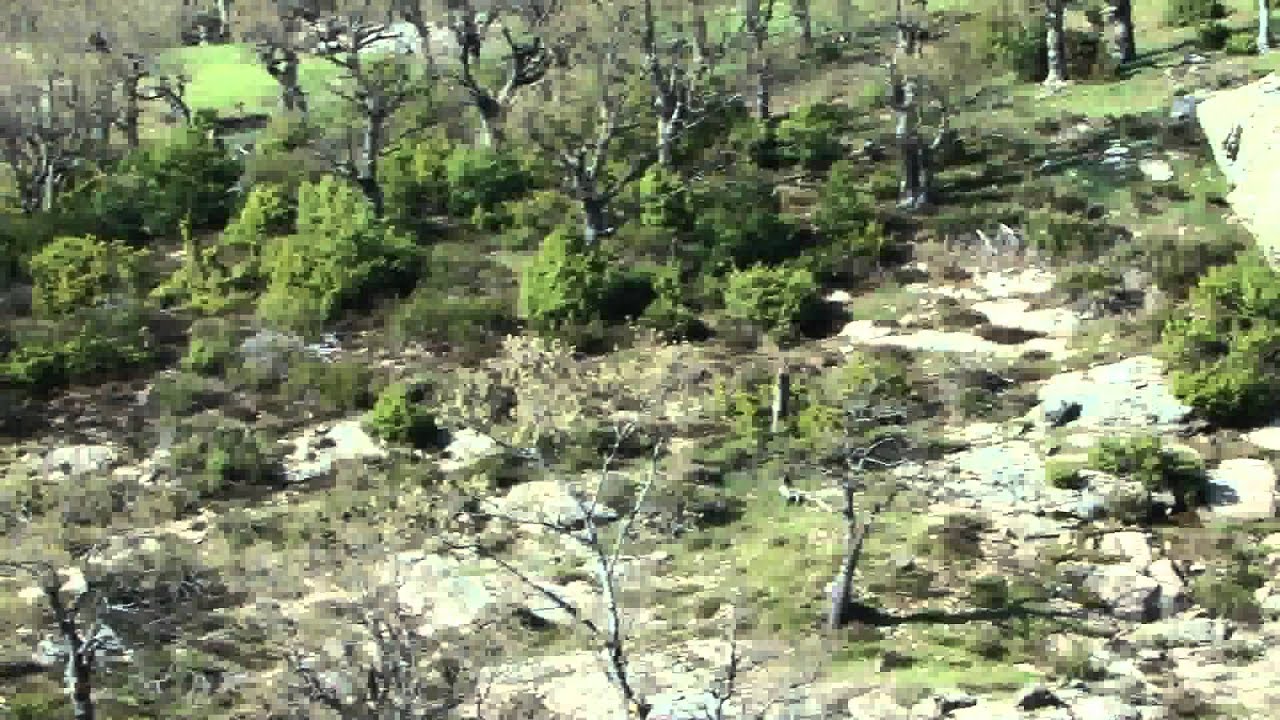 SUSURLUK DAĞLARI : SERÇEÖREN-ALAGÜNEY-YEŞİLDAG YOLU (KEPSUT/BALIKESIR)